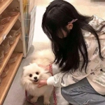 第五人格欧美版下载